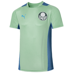 Camisa Treino Palmeiras Puma 22/23