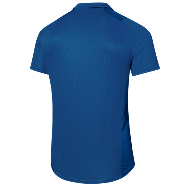 Polo Treino Palmeiras Puma 22/23