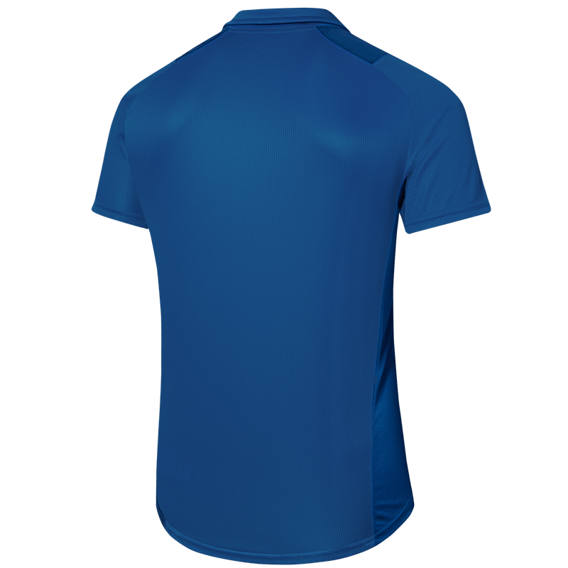 Polo Treino Palmeiras Puma 22/23