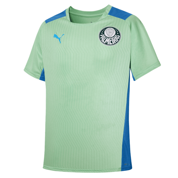 Camisa Treino Palmeiras Puma 22/23 Infantil