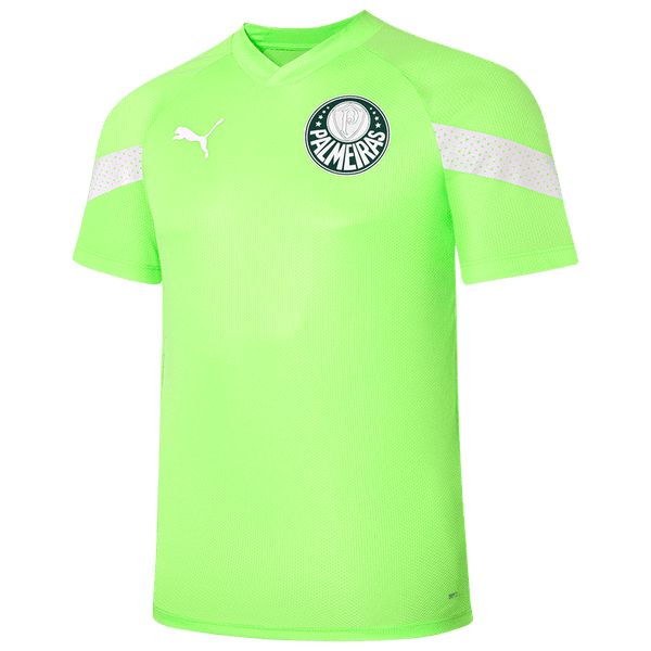 Camisa Treino Feminina Palmeiras Puma