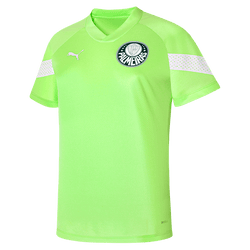 Camisa Treino Palmeiras Puma
