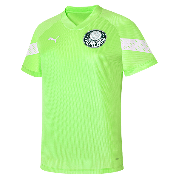 Camisa Treino Palmeiras Puma