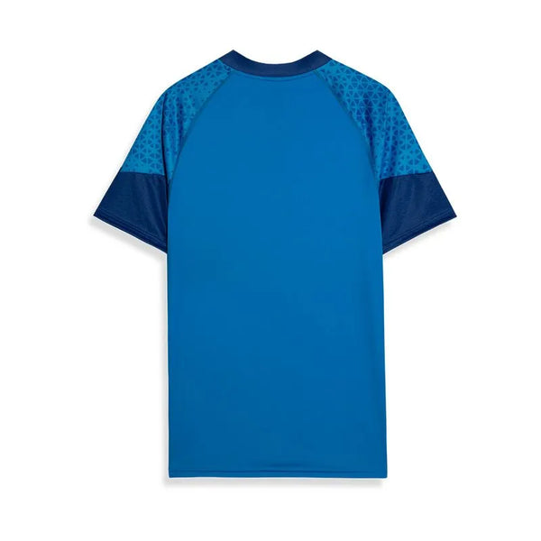 Camisa Treino Palmeiras Puma 24/25 Torcedor